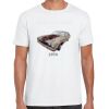 Mens Softstyle Tee Shirt Thumbnail